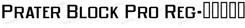 Prater Block Pro Reg字体转换